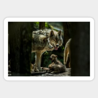 Wolf Family Sticker